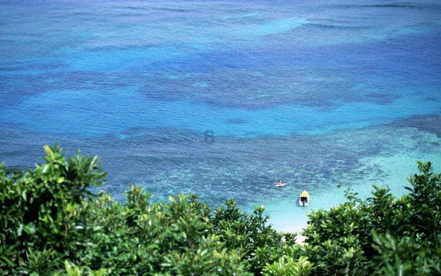 荒野大镖客救赎2