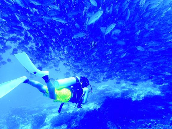 浏阳市北盛镇：抓小微水体畅通 打通治水护水“最后一公里”