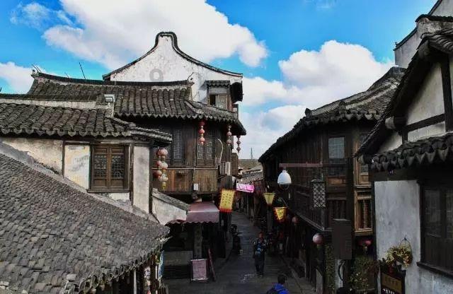 花艺造型设计，在哪里可以得到真正的提升?游戏画面