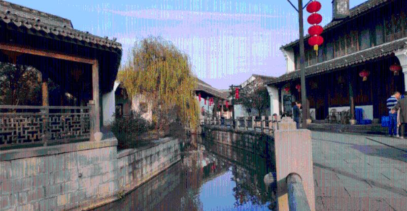 动物帮帮忙保卫家园