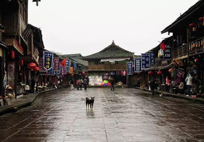 救援俏皮女孩